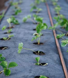 Domaines d'utilisation agricole